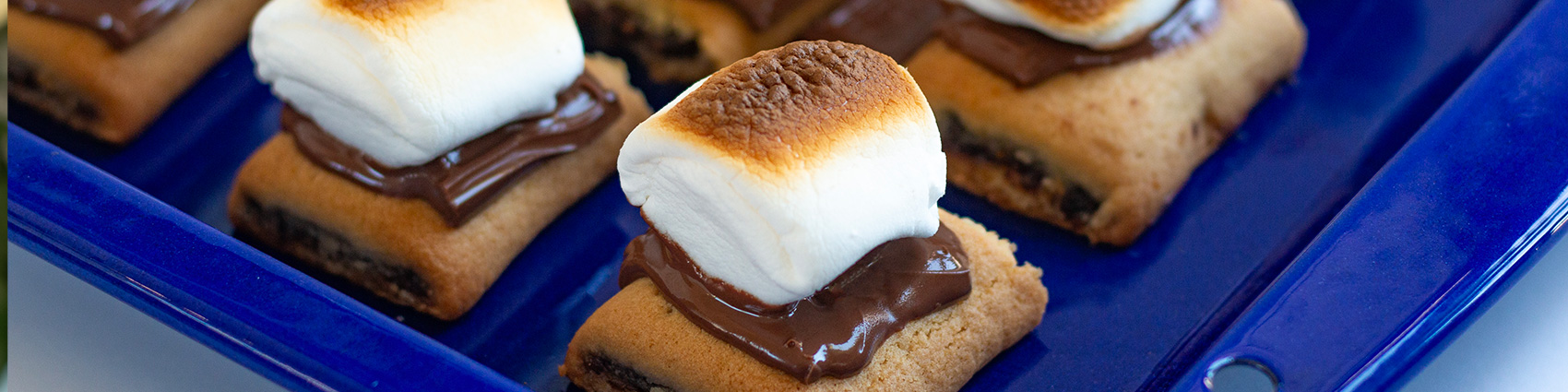 Oven Broiled Fig Bar S’mores