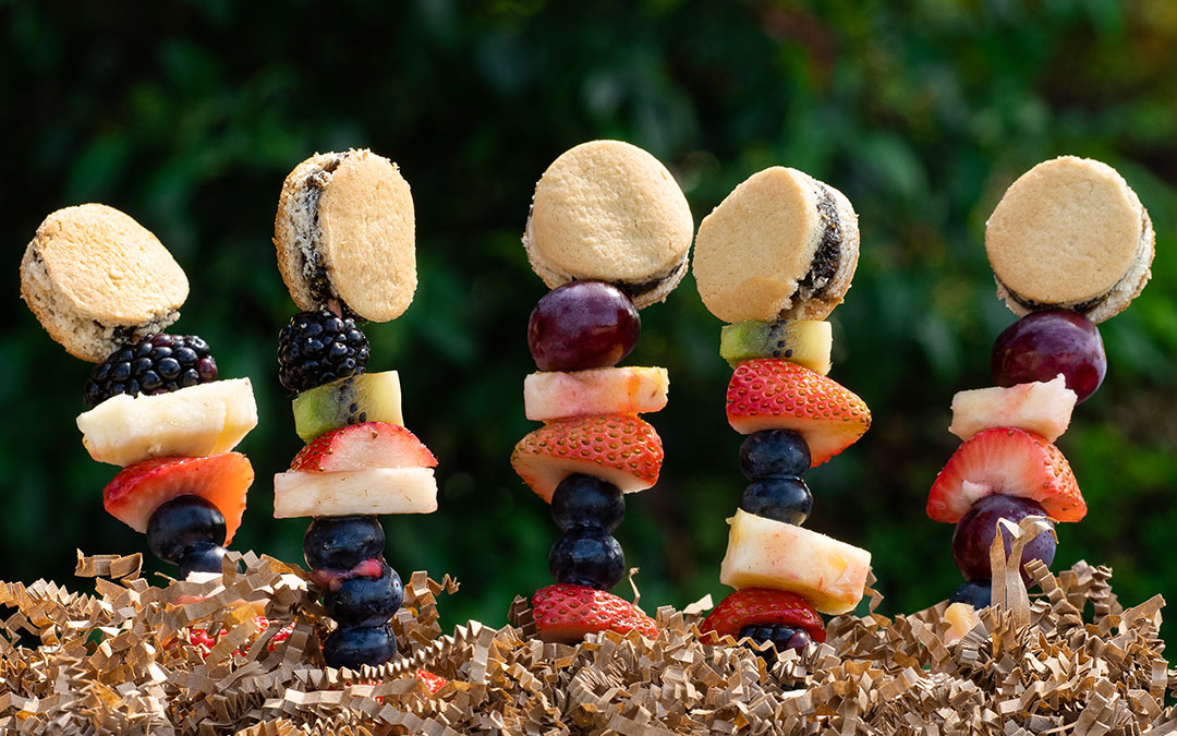 fig-bar-skewers-with-fruits